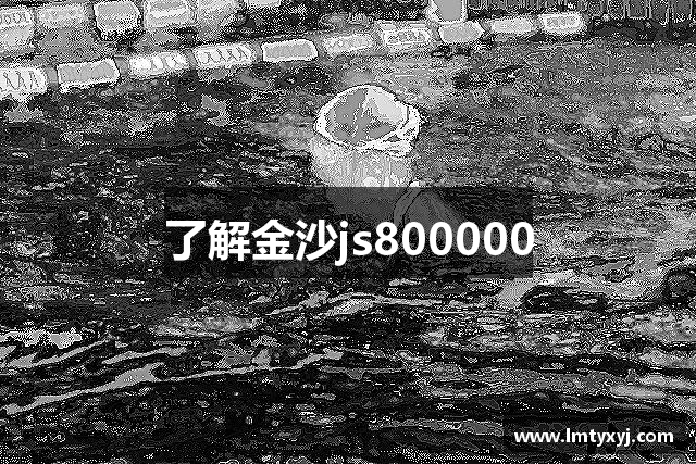 了解金沙js800000